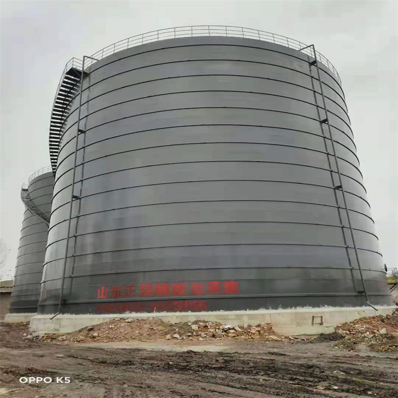 大丰镇3万吨大型钢板库