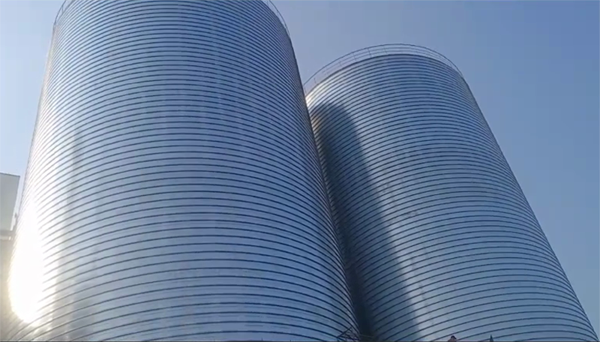 大丰镇2座混凝土高架卷板仓